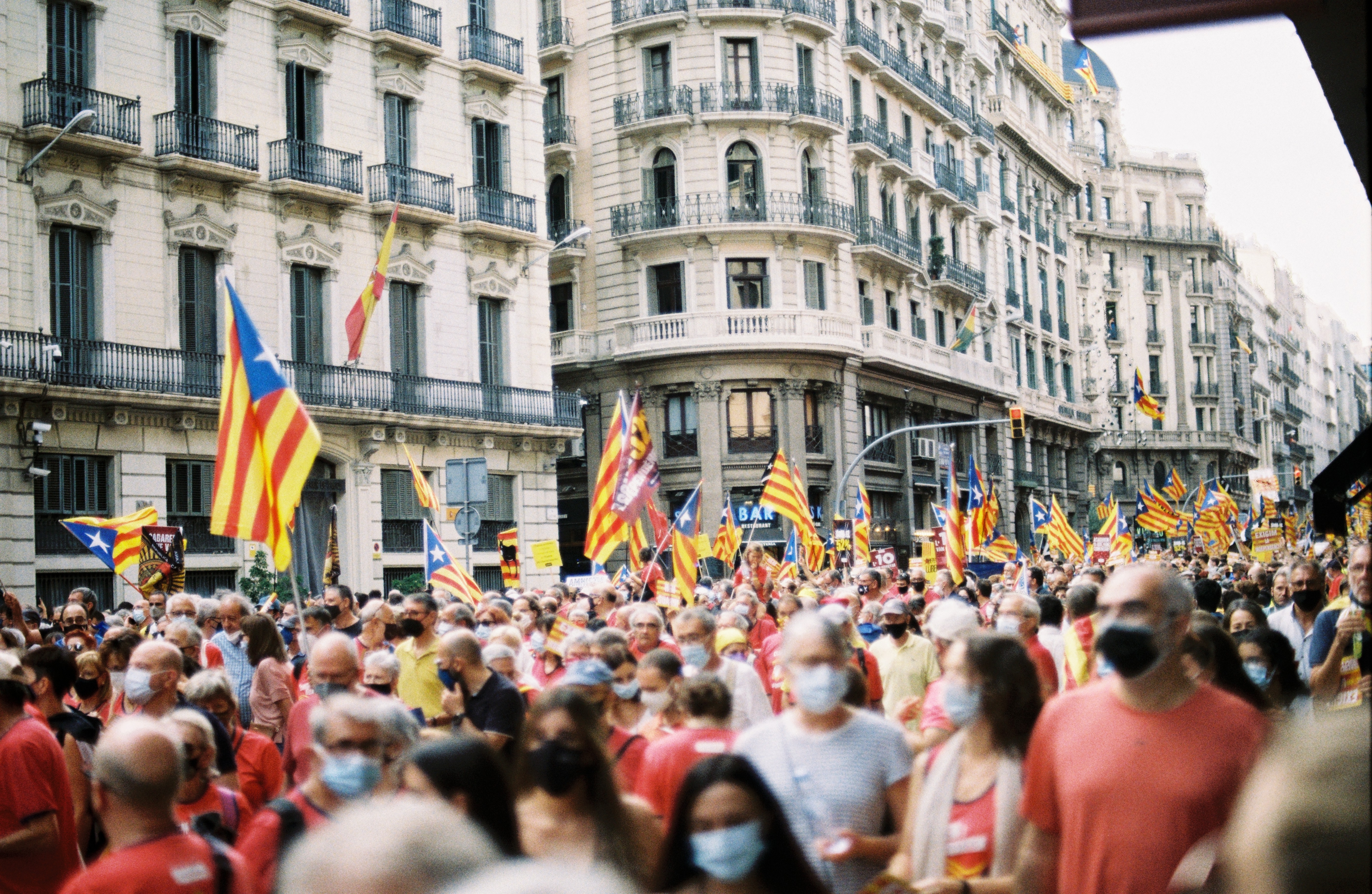 BCN11